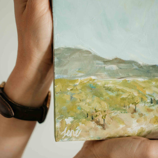 Die Plaaspad, Huistoe