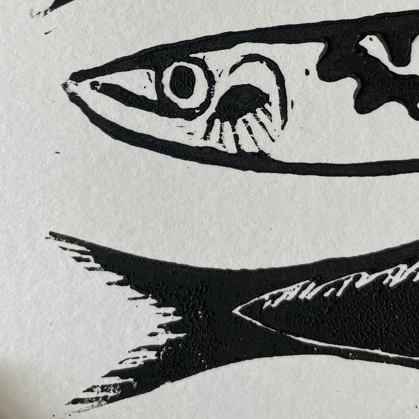 Quirky Fish