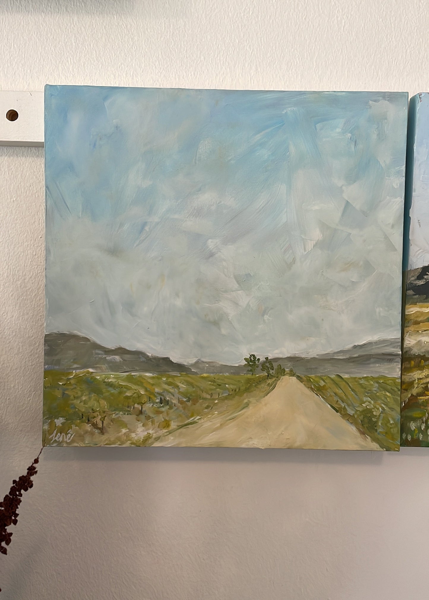 Die Plaaspad, Huistoe