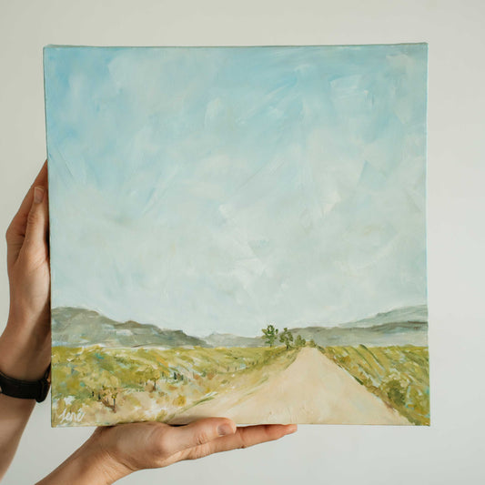 Die Plaaspad, Huistoe