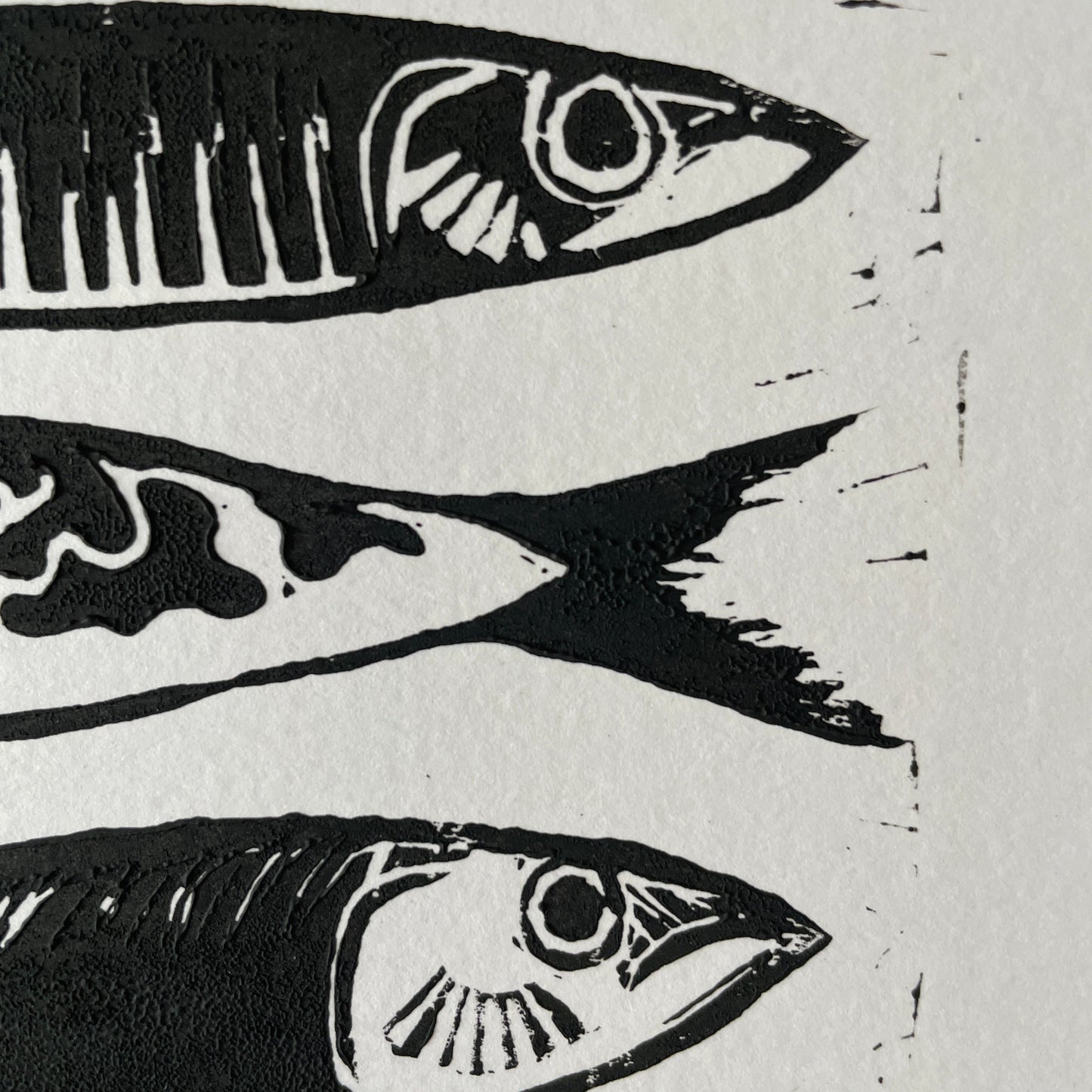 Quirky Fish